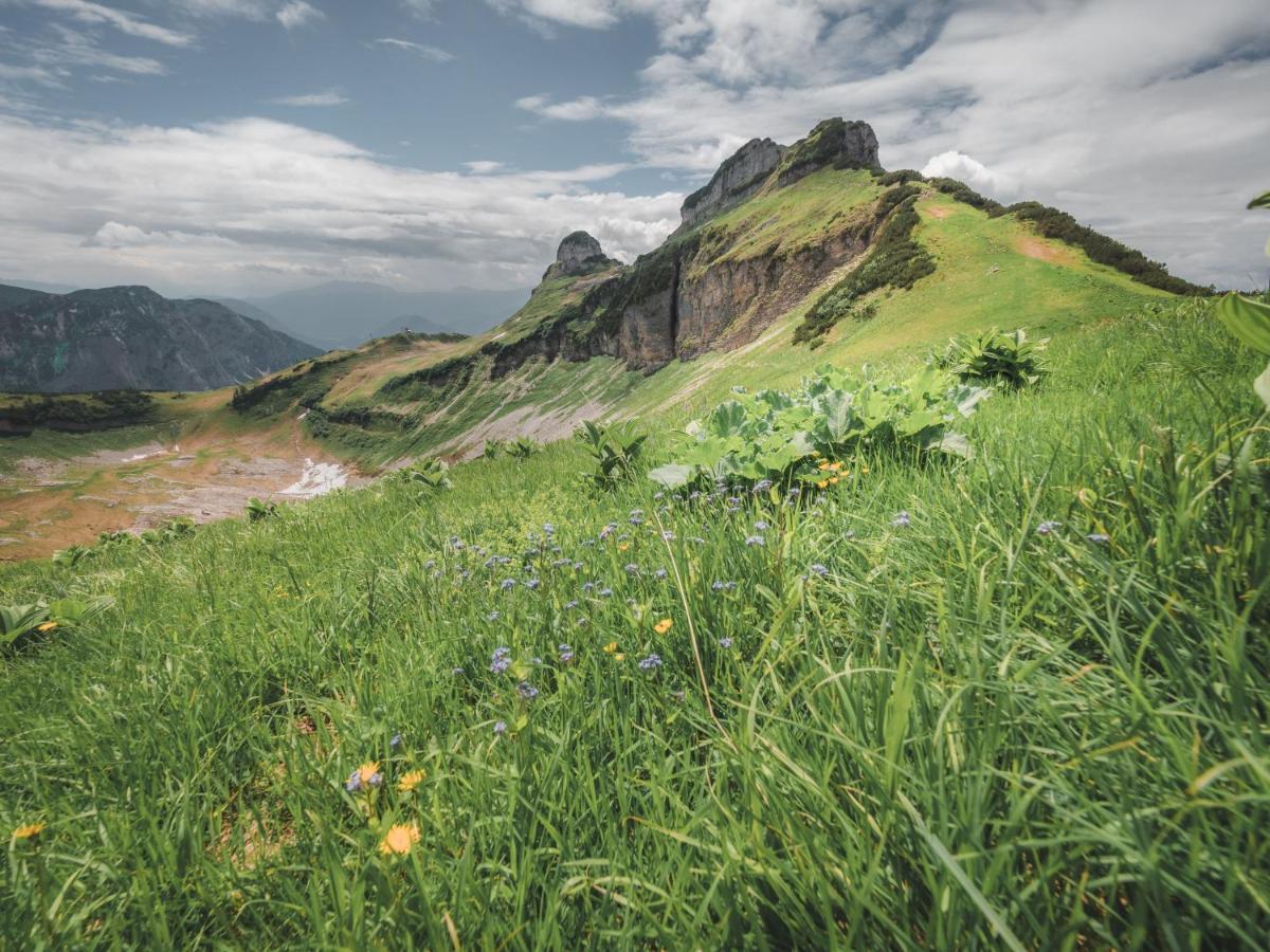 Alpenglueck Tauplitz 아파트 외부 사진