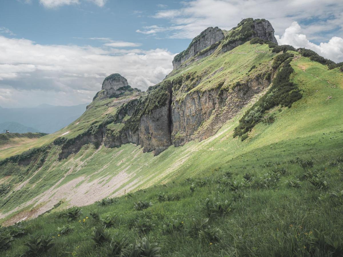 Alpenglueck Tauplitz 아파트 외부 사진